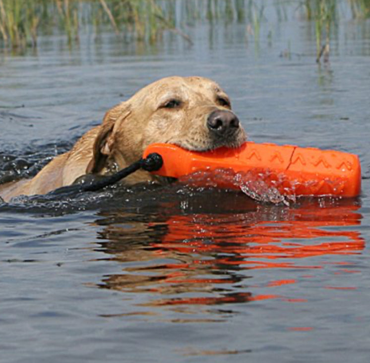 AVERY HEXABUMPER ORANGE 3"Dog Dummy