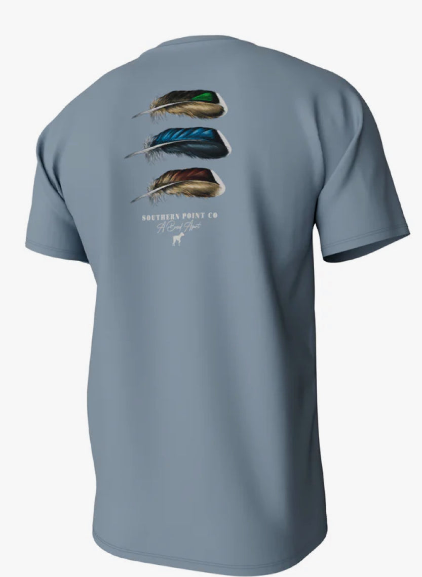 Southern Point Co Mountain Spring