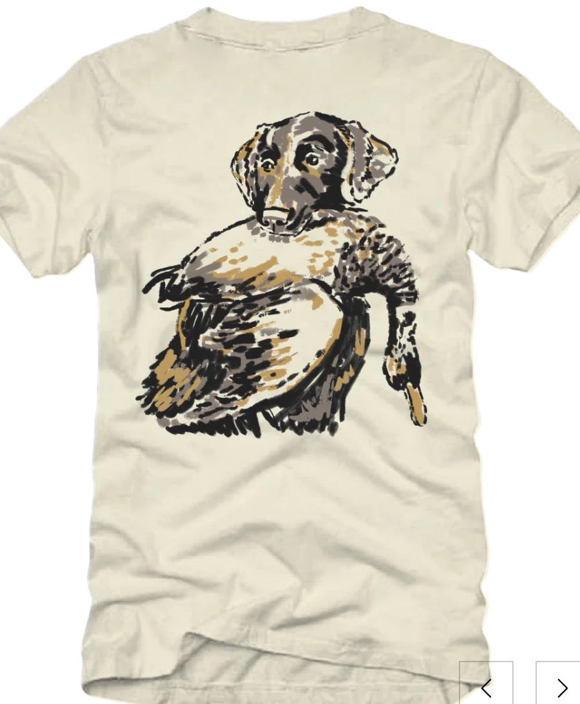 BANDED DUCK DOG SKETCH GRAPHIC HUNTING T-SHIRT