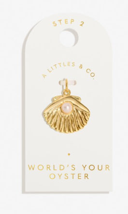 A Little & Co Charm Bar Medium Charm