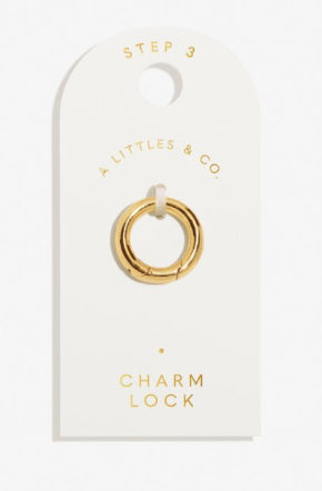 A Little & Co. Charm Bar Charm Locks