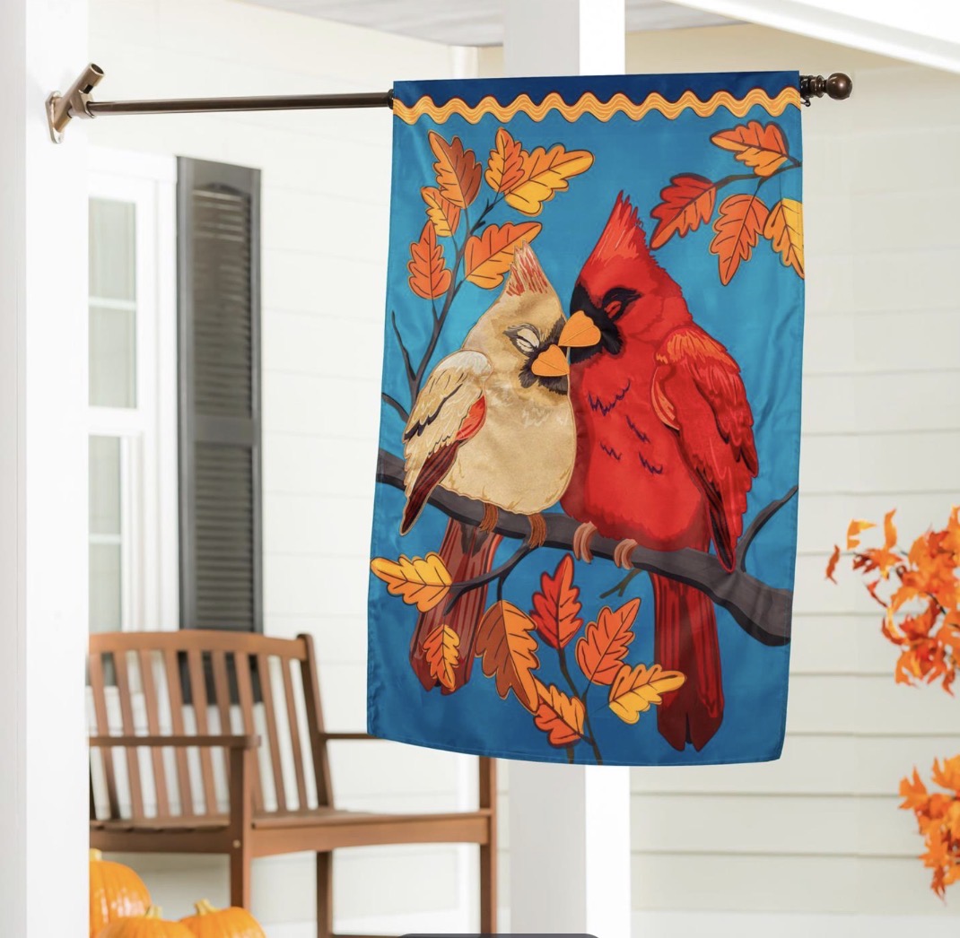Evergreen Cuddling Cardinals Applique Flag, House: APFZ19AHF525