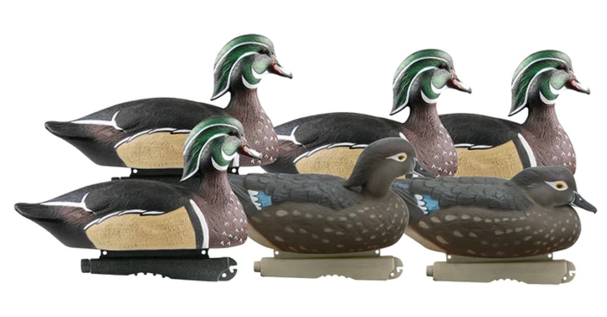 Banded Life Size Wood Ducks 6PK