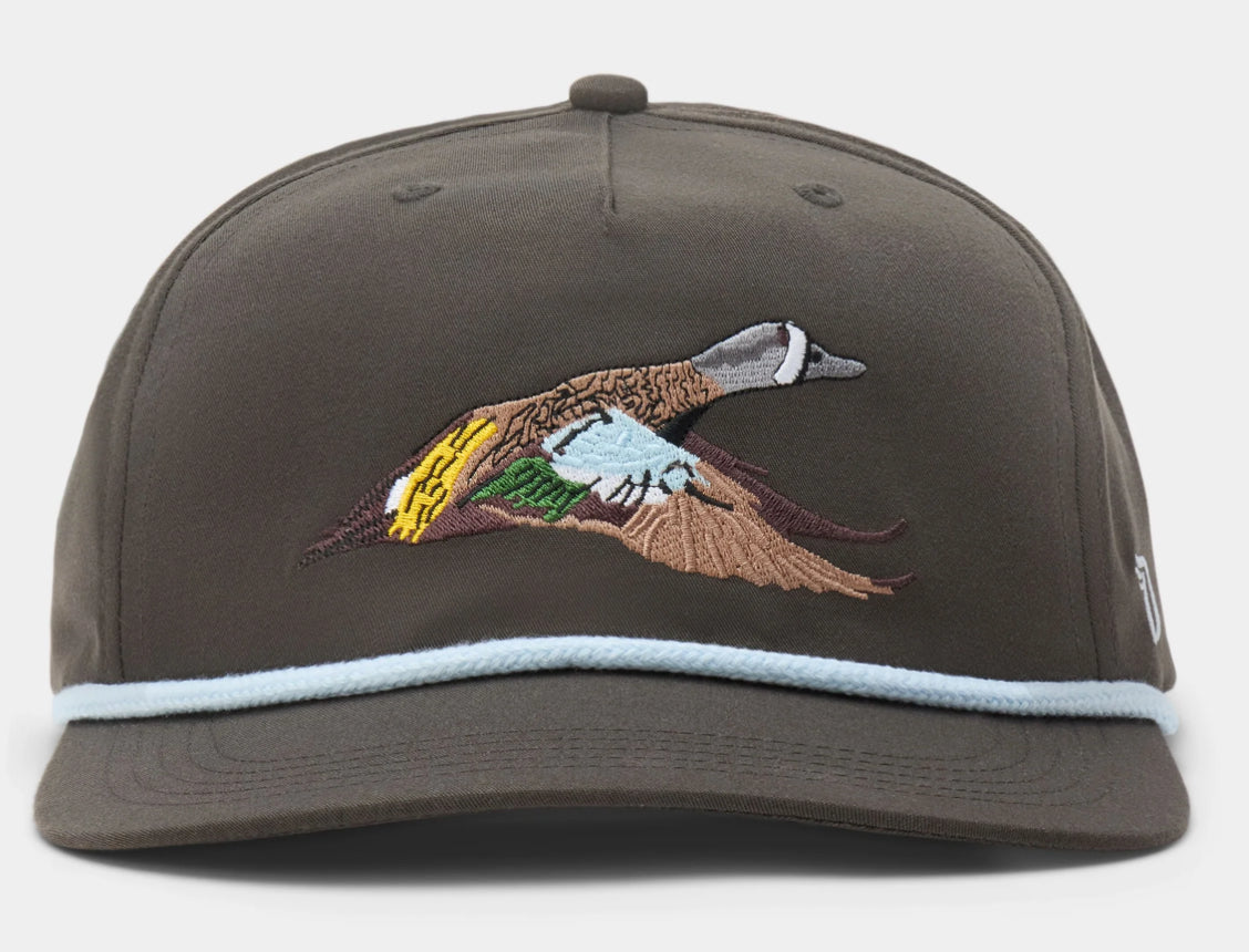 Duck Camp Blue Winged Teal Hat - Raven