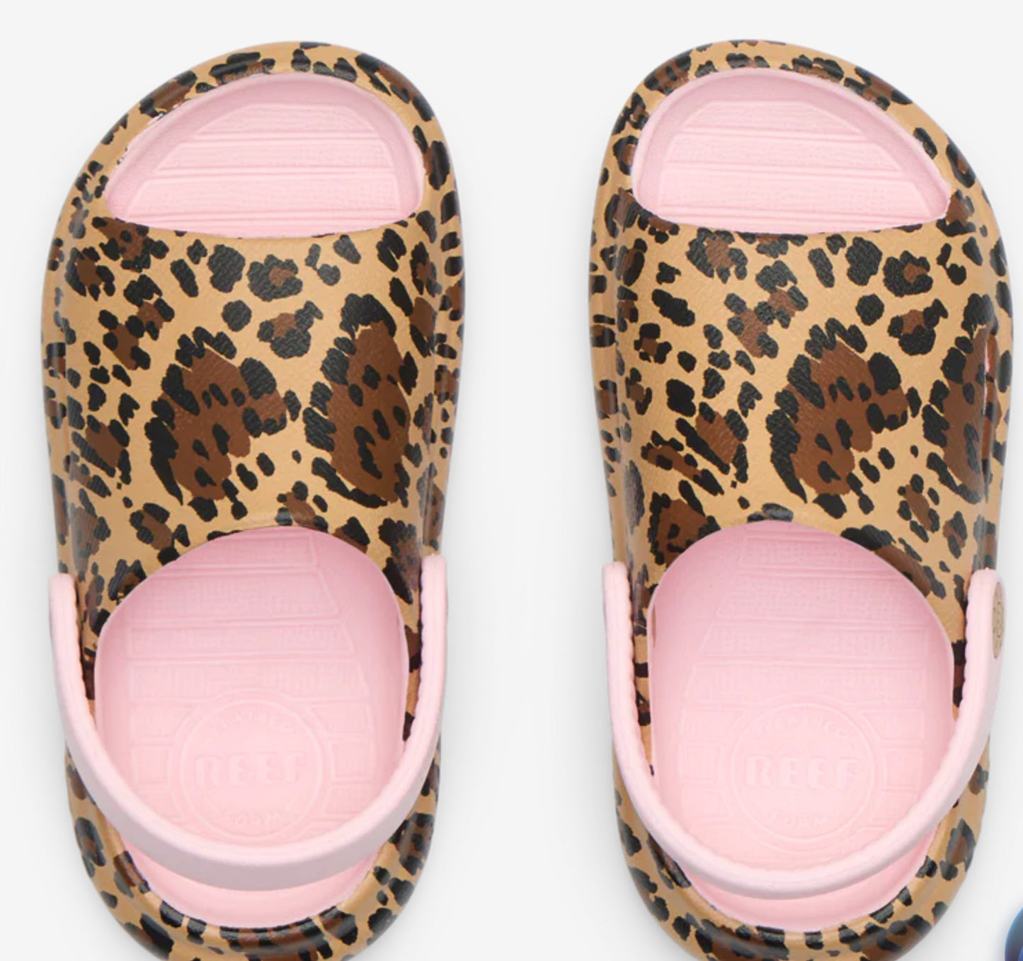 REEF Little Rio Slide