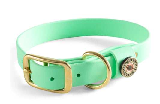 Heybo Biothane Dog Collar Mint Hey19903