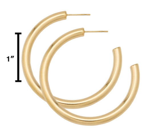 Alex Carol Medium Hollow Hoop 14KT Gold Color Water Resistant