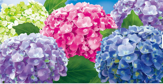 Evergreen Multicolor Hydrangeas Suede Garden Flag