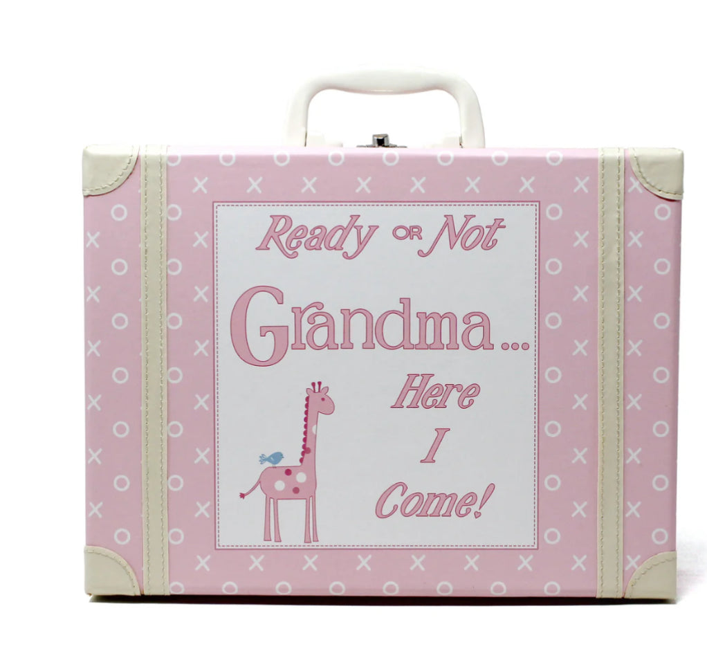 Going To Grandma’s Box With Blanket pink