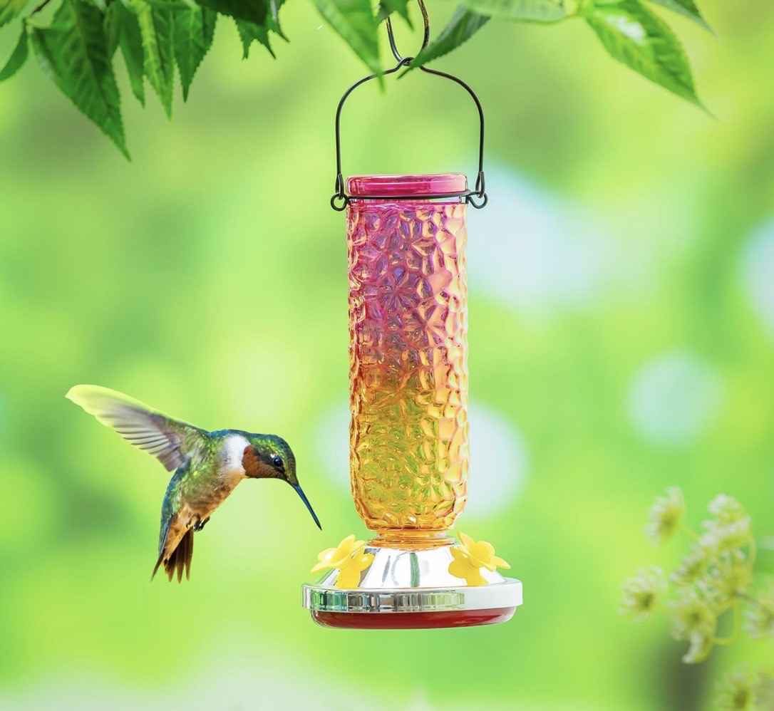 Evergreen Garden of Wonder Bird Feeder, Textured Iridescent Glass Hummingbird Feeder