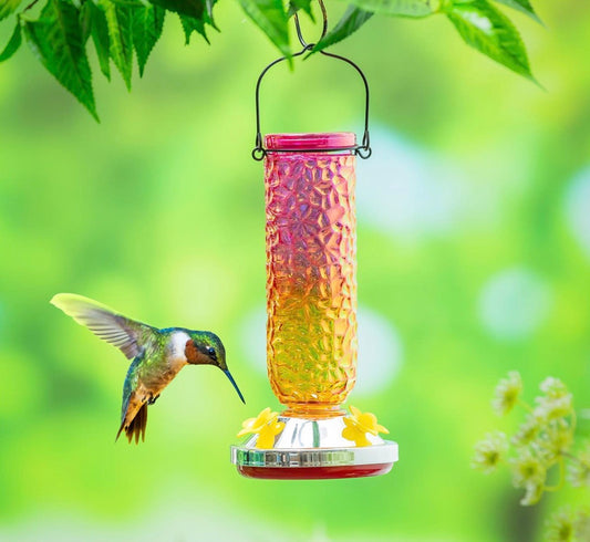 Evergreen Garden of Wonder Bird Feeder, Textured Iridescent Glass Hummingbird Feeder
