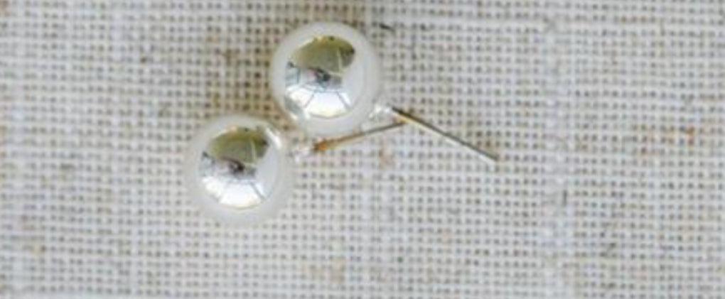 MM Grenada Small Shiny Silver Earrings