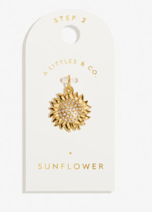 A Little & Co Charm Bar Medium Charm
