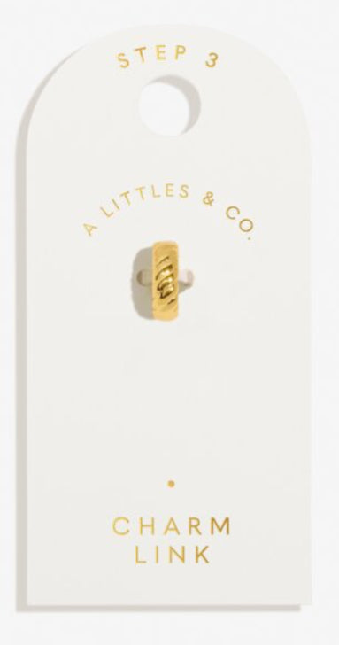 A Little & Co. Charm Bar Charm Locks