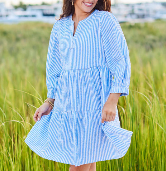 Michelle McDowell Dress Cooper Lined Up Blue