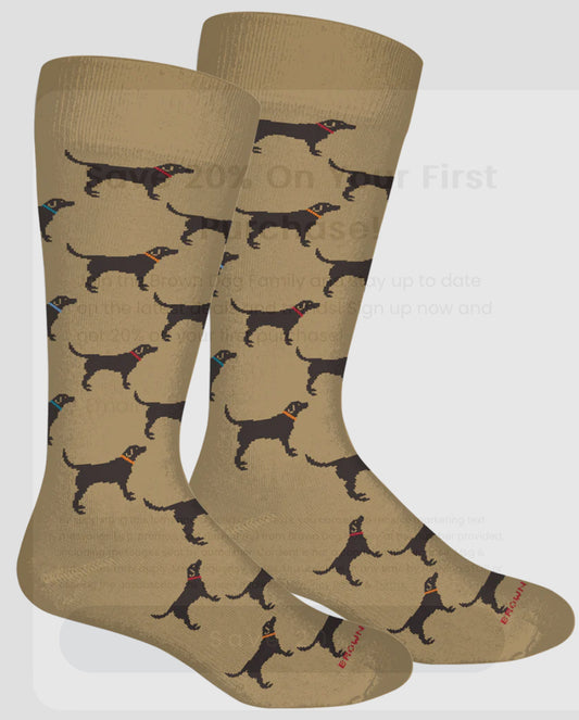 Brown Dog khaki lab