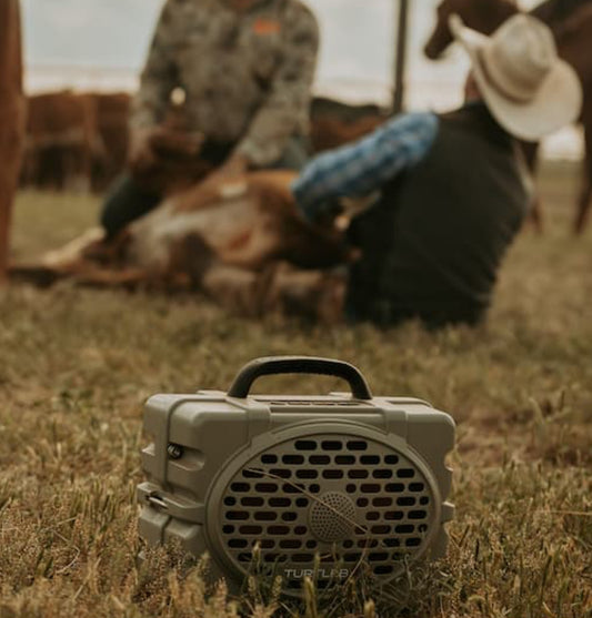 TurtleBox Gen 3 Speaker Tan
