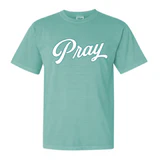 Southern Fried Cotton Pray Script Seafoam