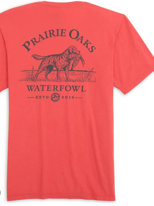 Heybo S/S Established 2018 Coral Tee