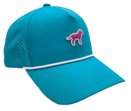 Southern Fried Cotton Pink Hound Hat Aqua SFA6160