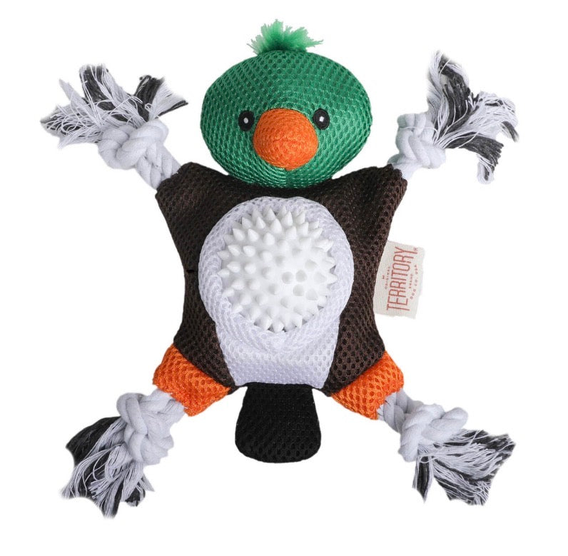 Tall Tails Mallard 2 in 1 Toy