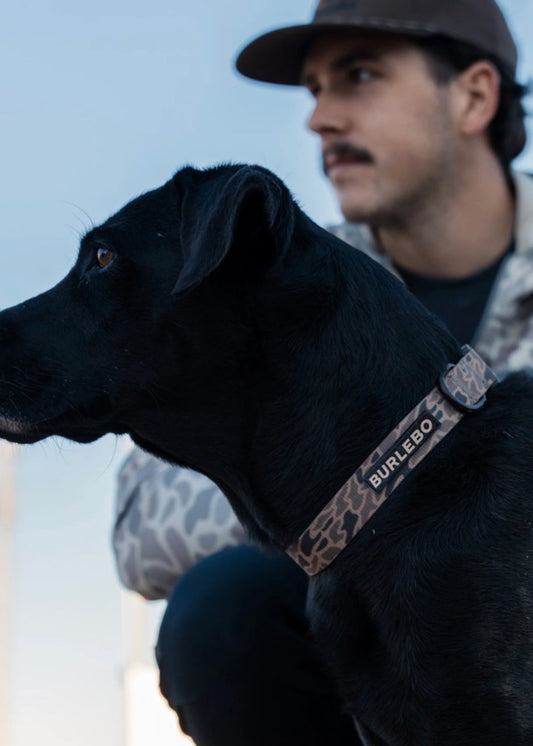 Burlebo Dog Collar Gauge Camo