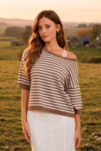 Blu Pepper Stripe Contrast Trim Short Sleeve Knit Sweater Mocha