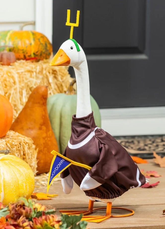 Giddy the Goose Outfit, Football Post
