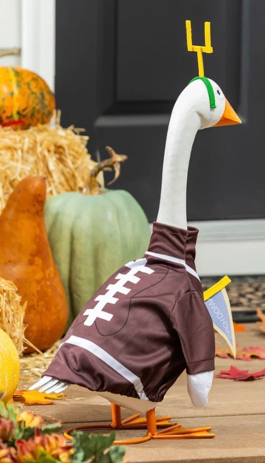 Giddy the Goose Outfit, Football Post
