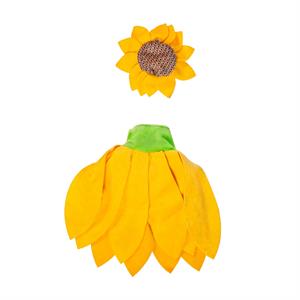 Porch Goose Outfit, Sunflower Radiance